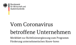 Ausschnitt aus dem Titelblatt der Richtlinie für durch Corona betroffene Unternehmen